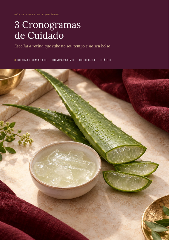 Capa do bônus 3 Cronogramas de Cuidado